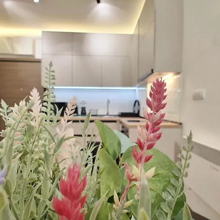 Lejlighed Primus Sa Bazenom,spa&wellness Centrom-velika Recepcija 125 Zlatibor