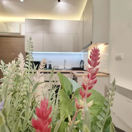 Apartment Primus Sa Bazenom,spa&wellness Centrom-velika Recepcija 125 Zlatibor