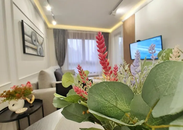 Primus Sa Bazenom,spa&wellness Centrom-velika Recepcija 125 アパート *